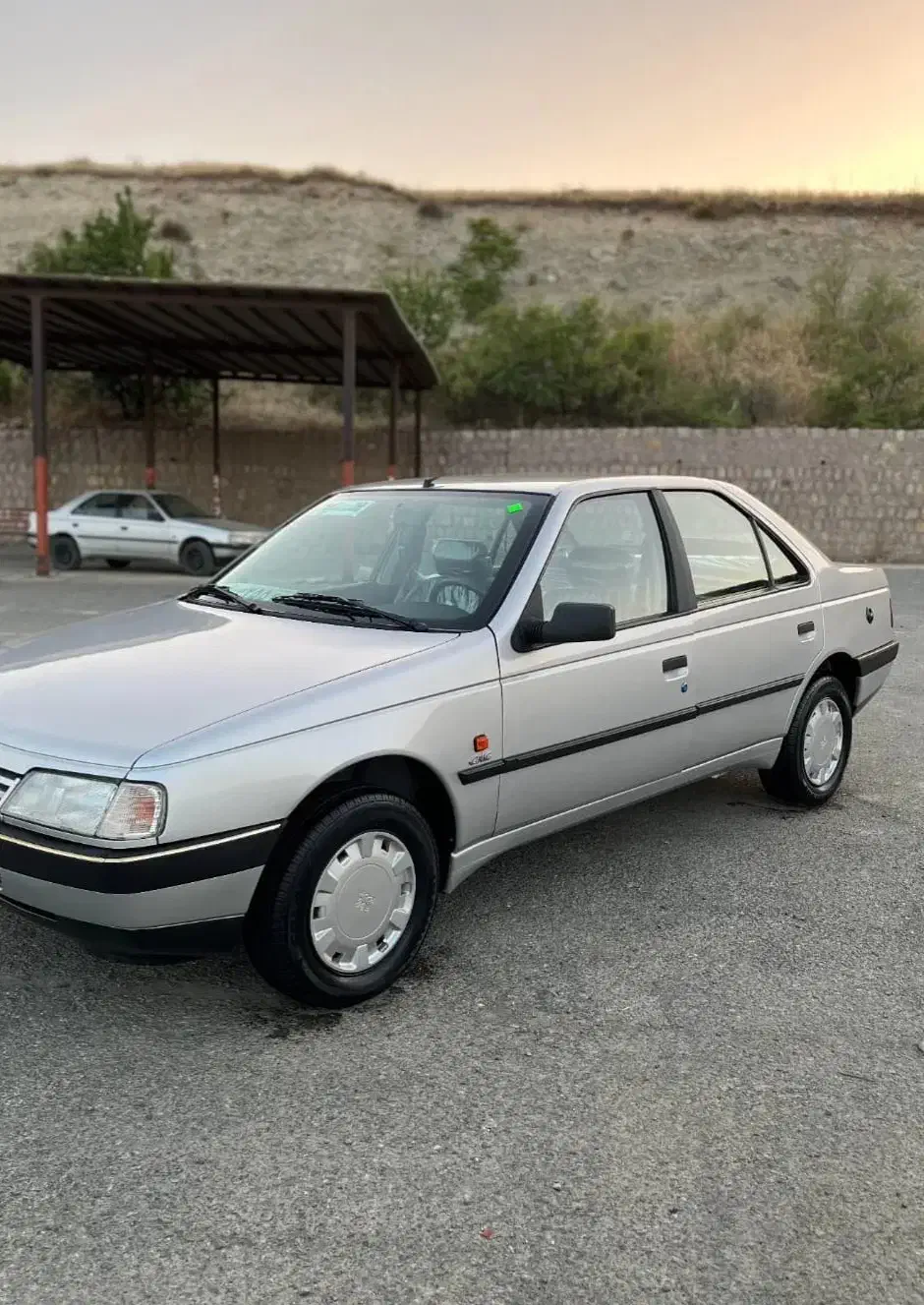 پژو 405 GLX - دوگانه سوز - 1389