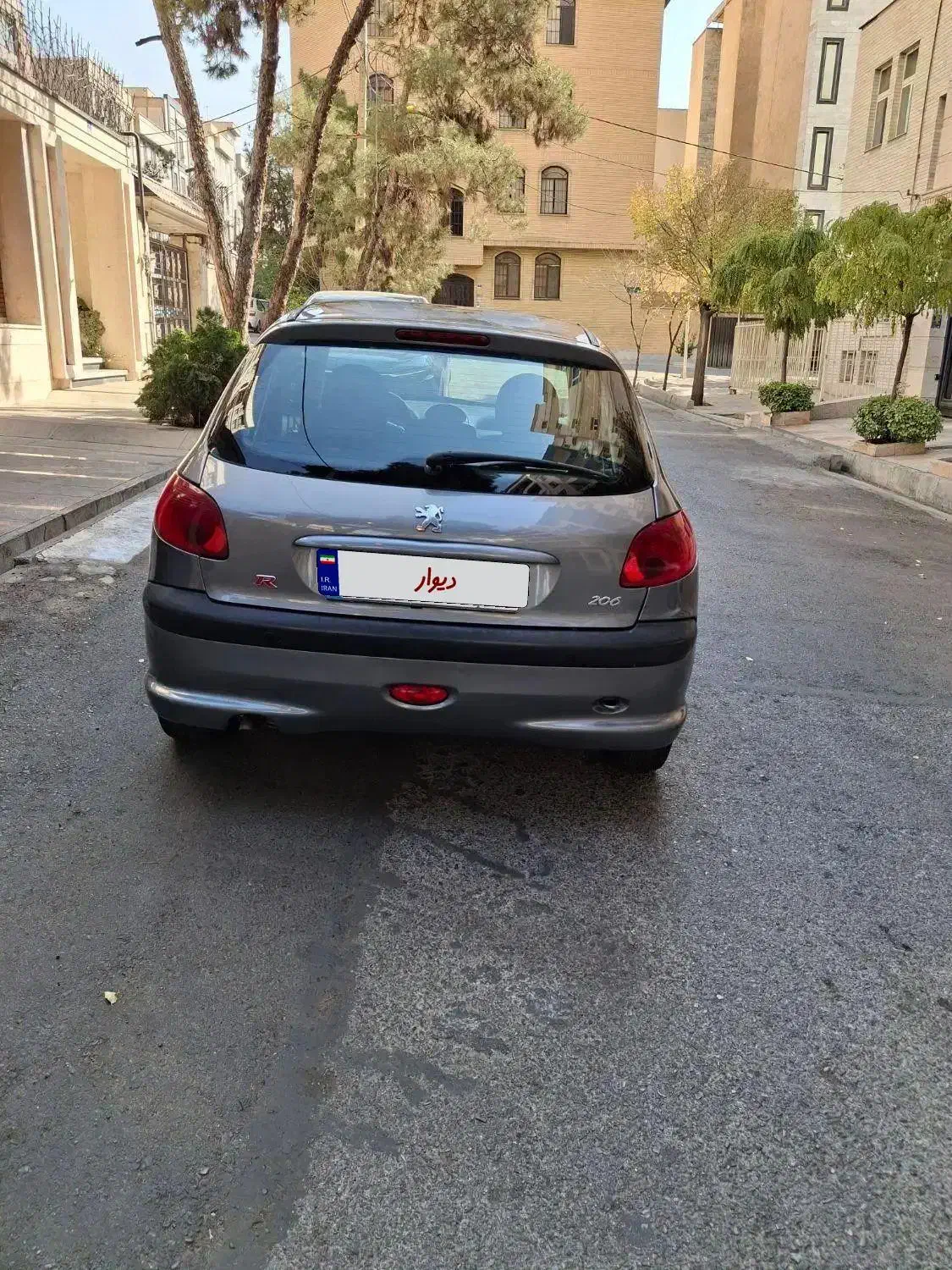 پژو 206 تیپ 5 - 1393