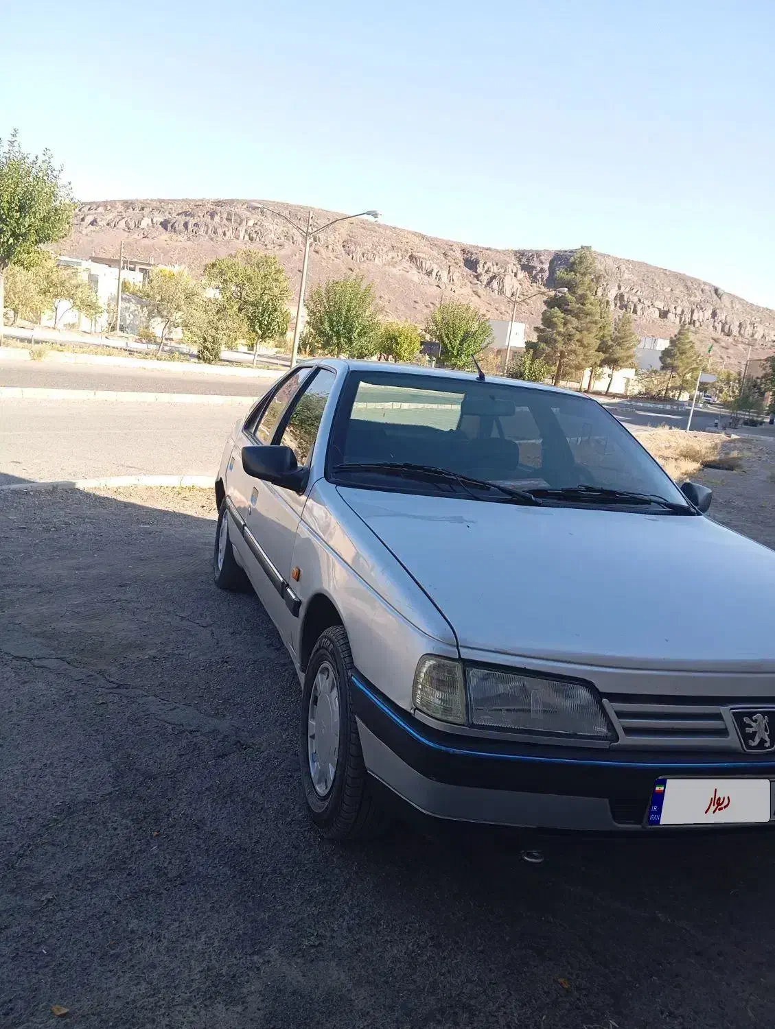 پژو 405 GLX - دوگانه سوز - 1390