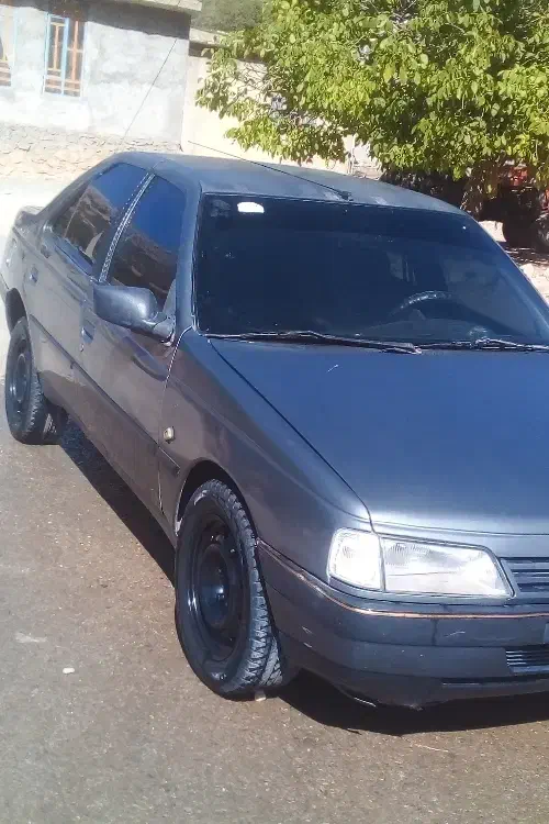 پژو 405 GLX - 1387