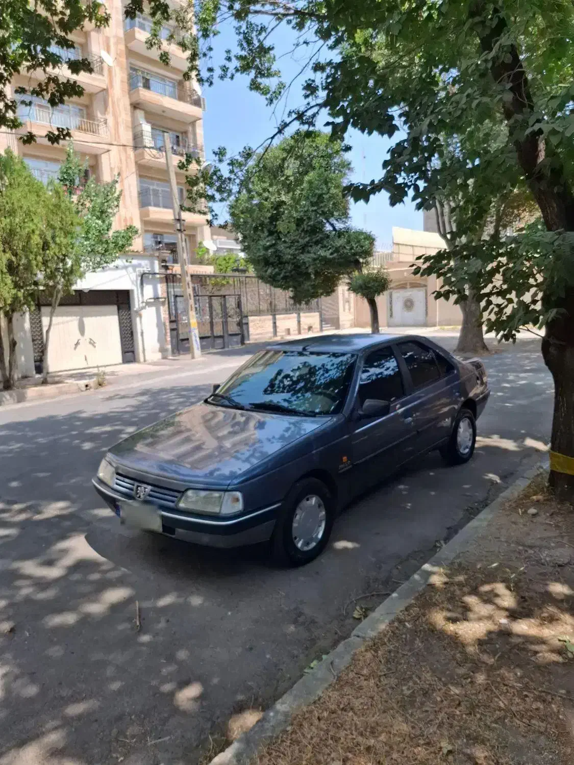 پژو 405 GLX - دوگانه سوز - 1393