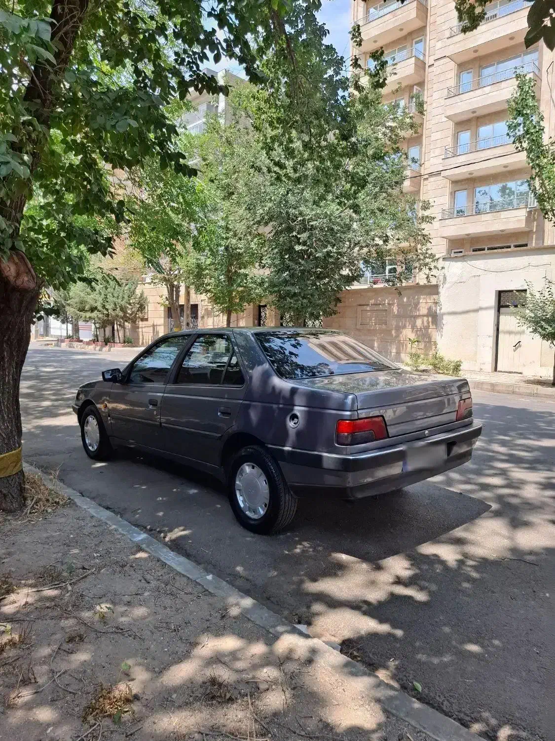 پژو 405 GLX - دوگانه سوز - 1393