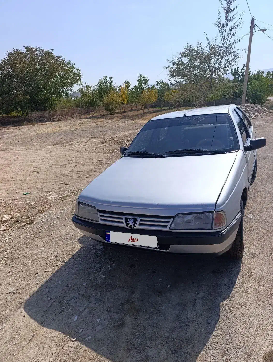 پژو 405 GLX - دوگانه سوز - 1390