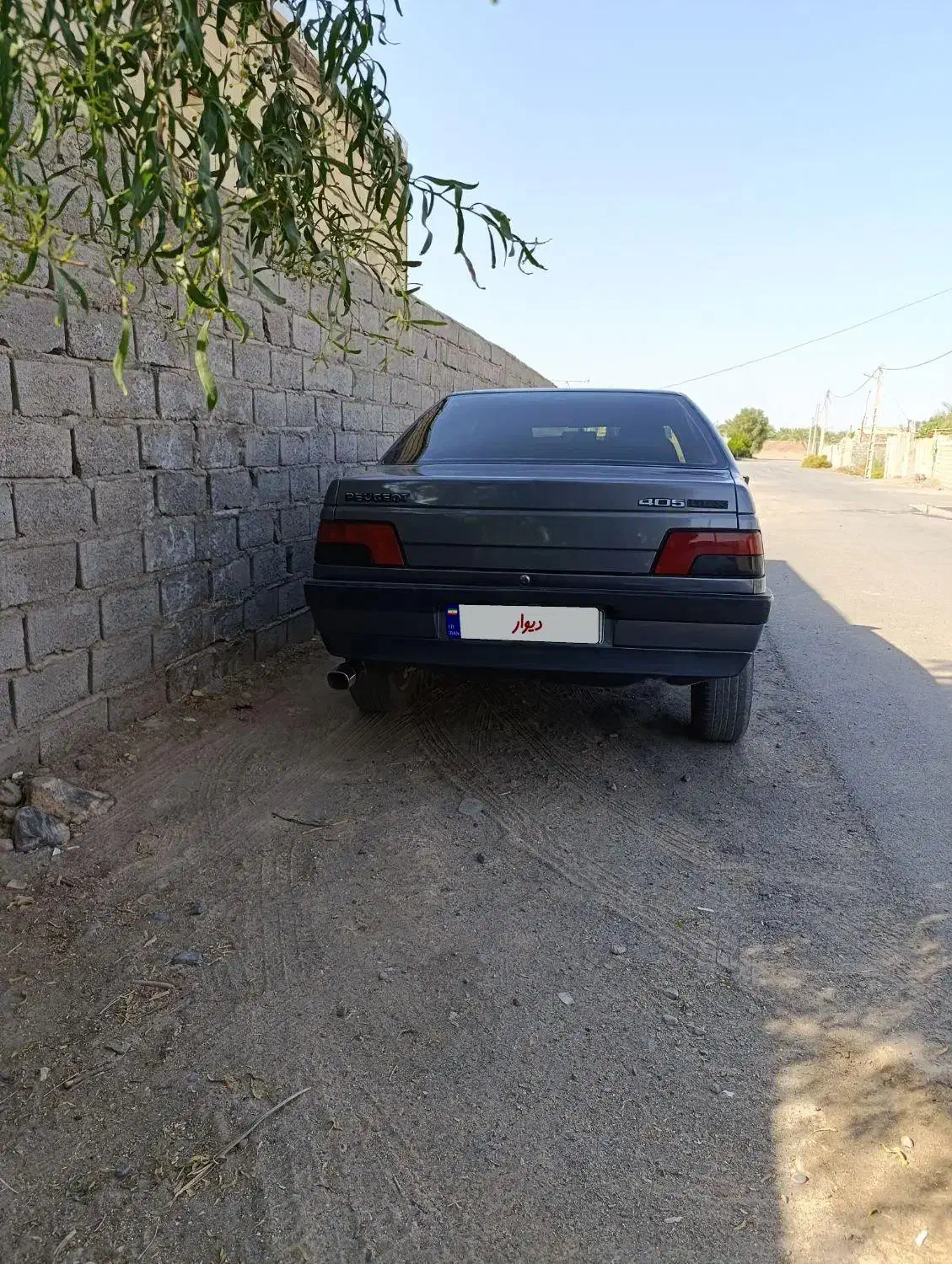 پژو 405 GLX - دوگانه سوز - 1394