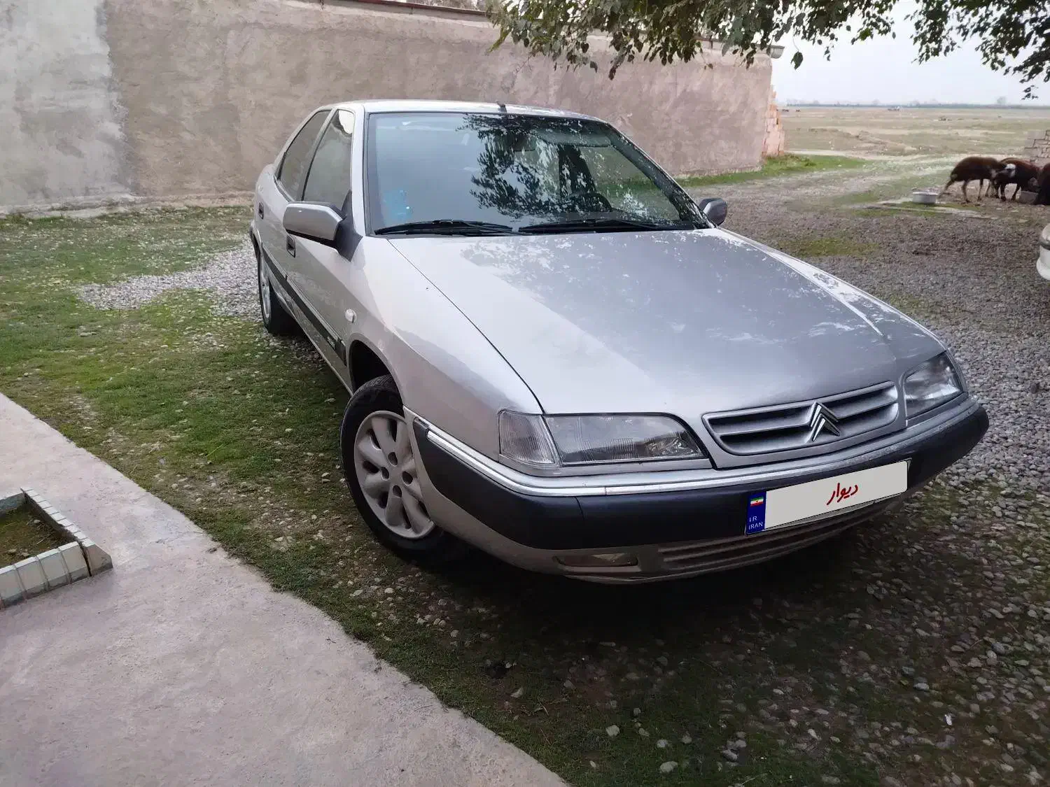 سیتروئن زانتیا SX - 1385