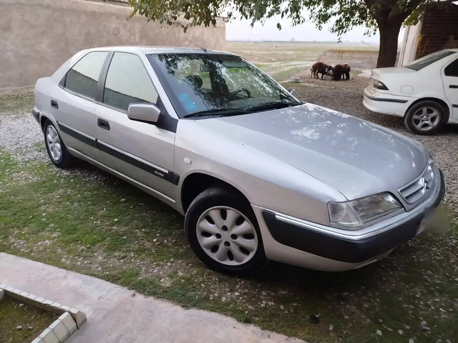 سیتروئن زانتیا SX - 1385