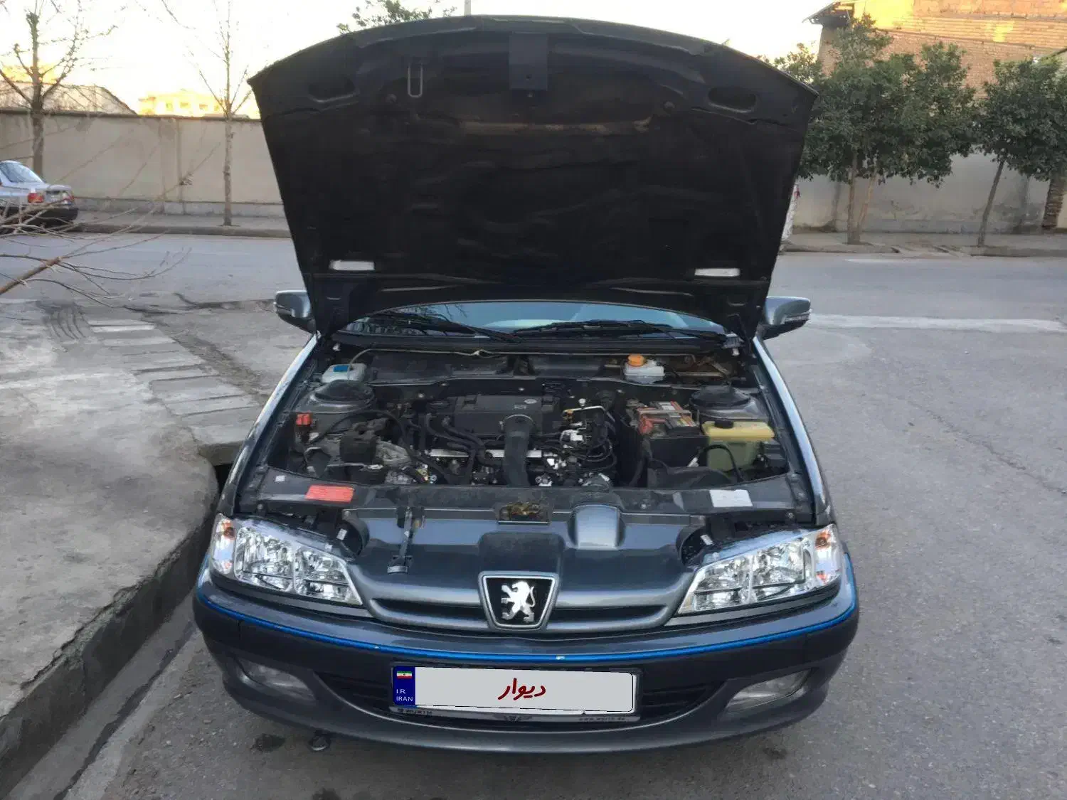 پژو پارس سال - 1395