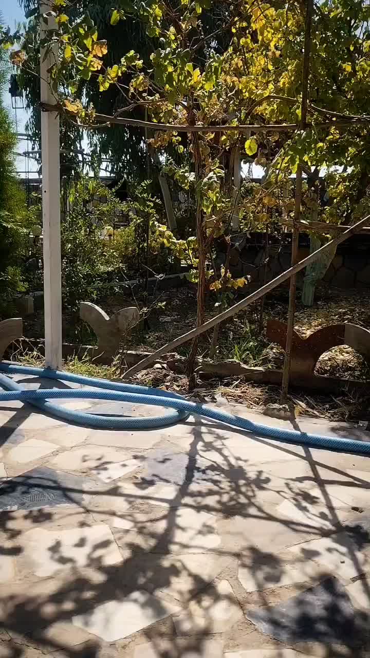 خودرو سمند، سورن آگهی ann_20787635