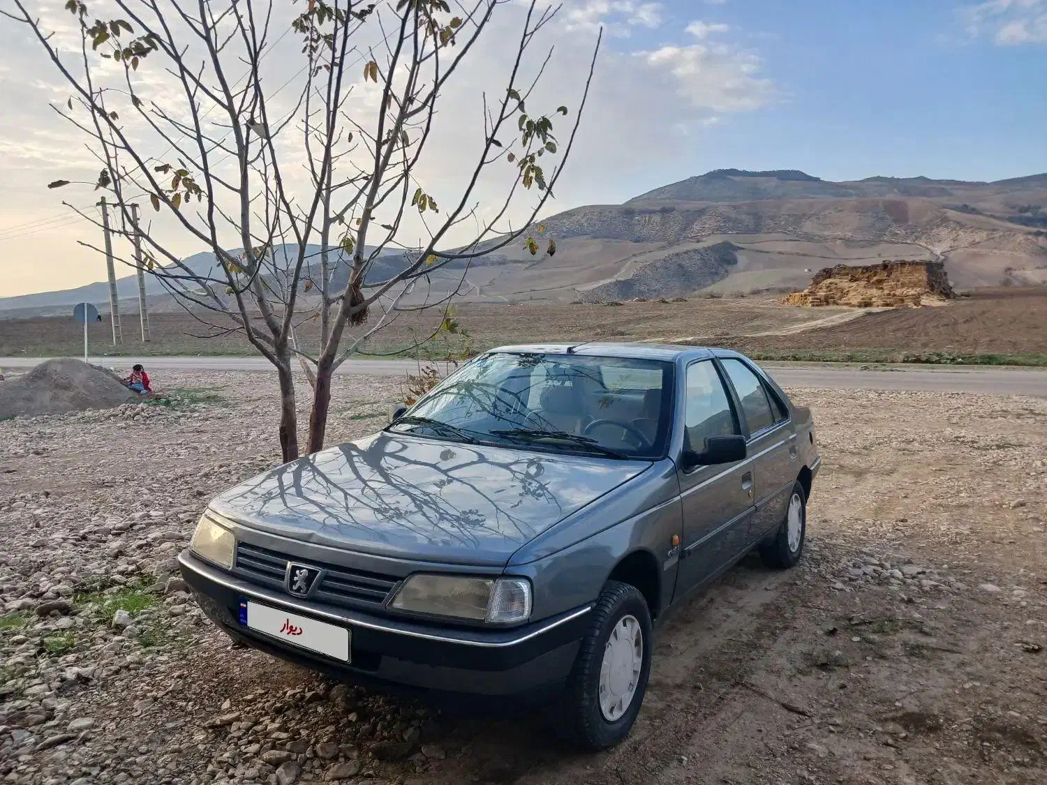 پژو 405 GLX - دوگانه سوز - 1392