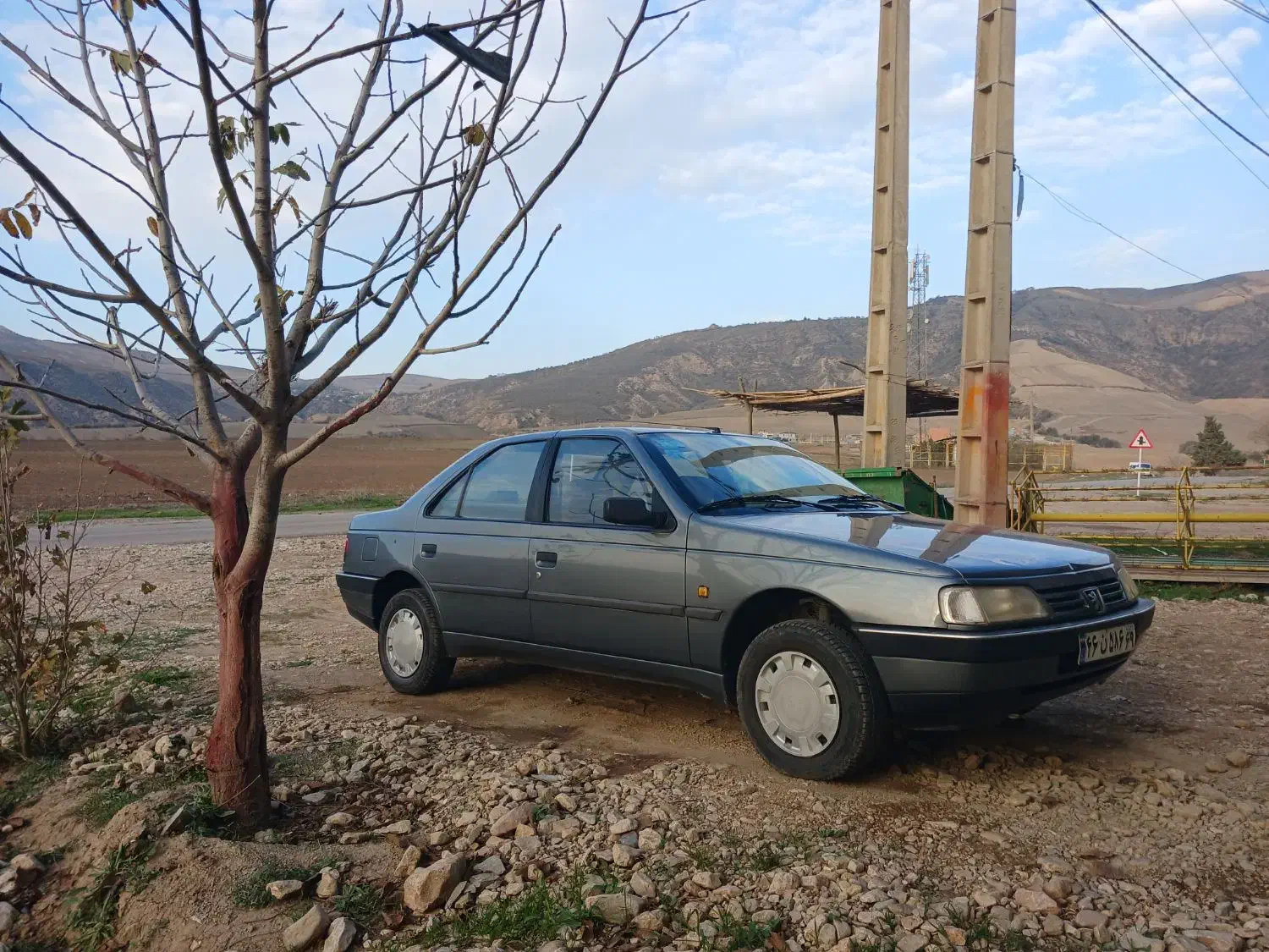 پژو 405 GLX - دوگانه سوز - 1392
