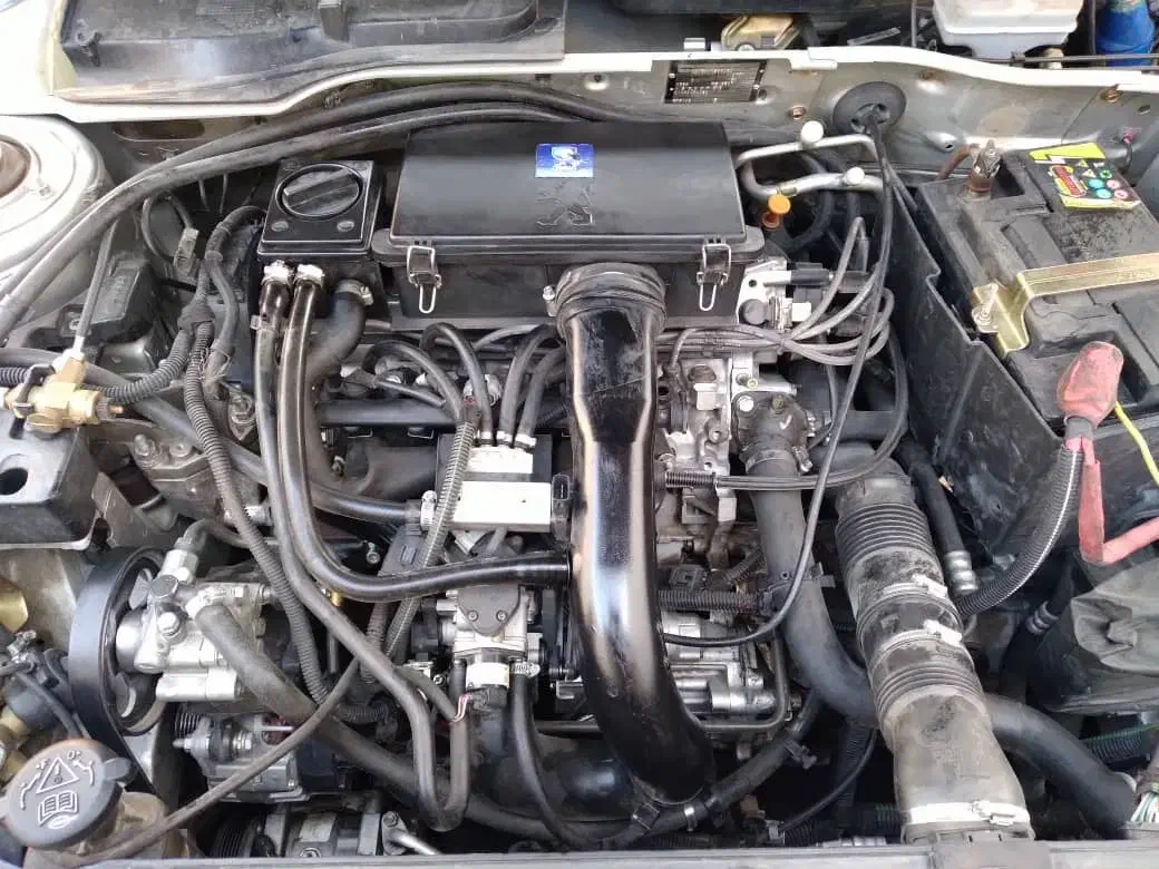 پژو 405 GLX - دوگانه سوز - 1399