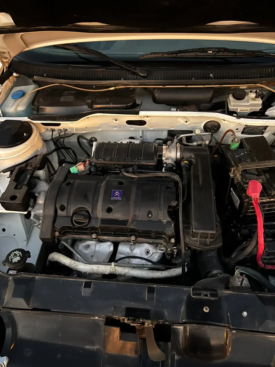 پژو 405 SLX بنزینی TU5 - 1395