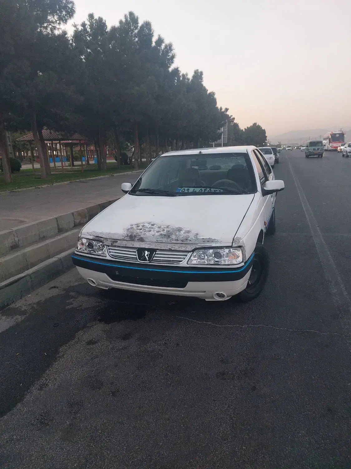 پژو 405 SLX بنزینی TU5 - 1391