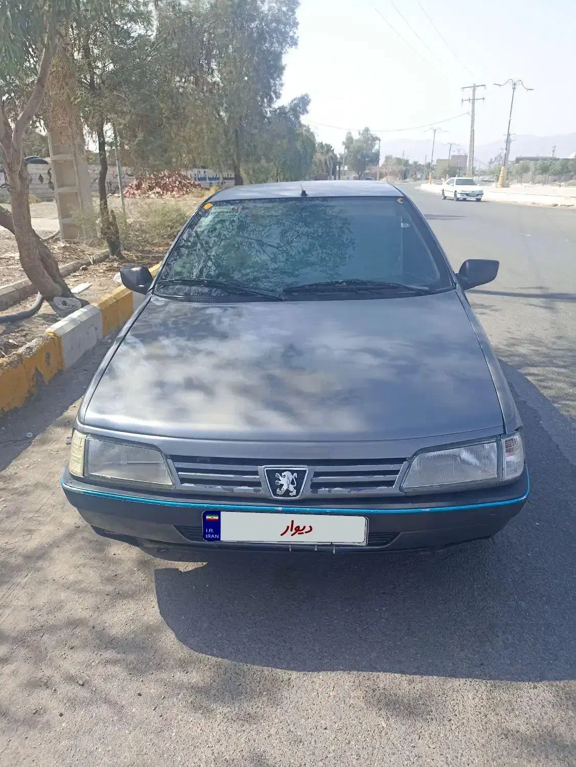 پژو 405 GLX - دوگانه سوز - 1389