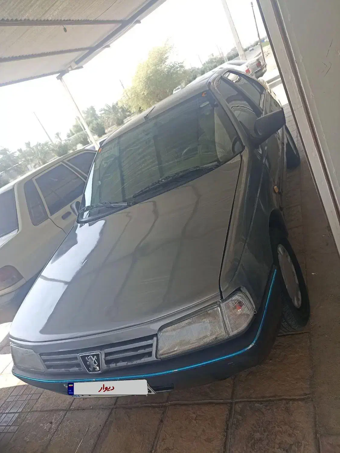 پژو 405 GLX - دوگانه سوز - 1389