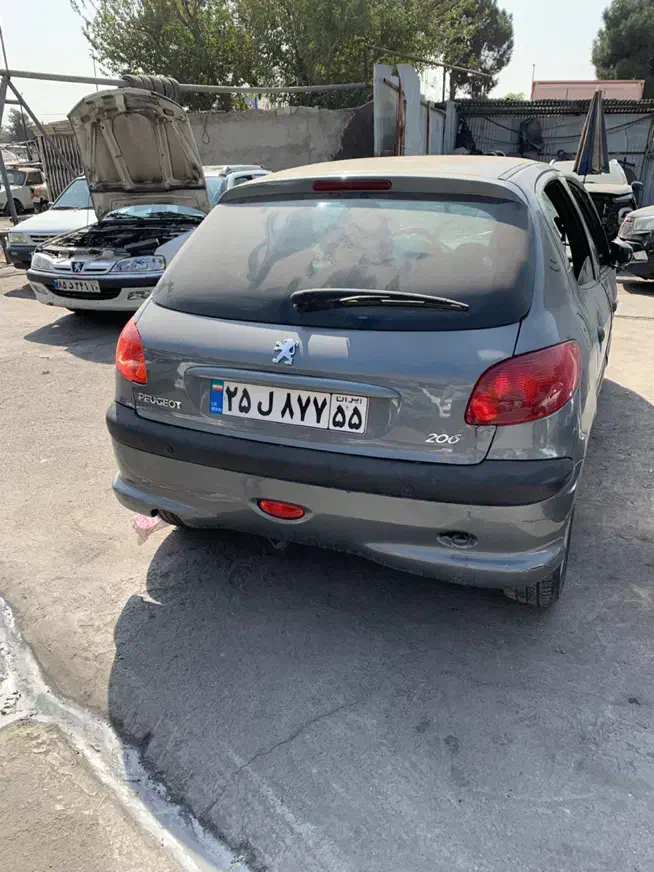 پژو 206 تیپ 5 - 1395
