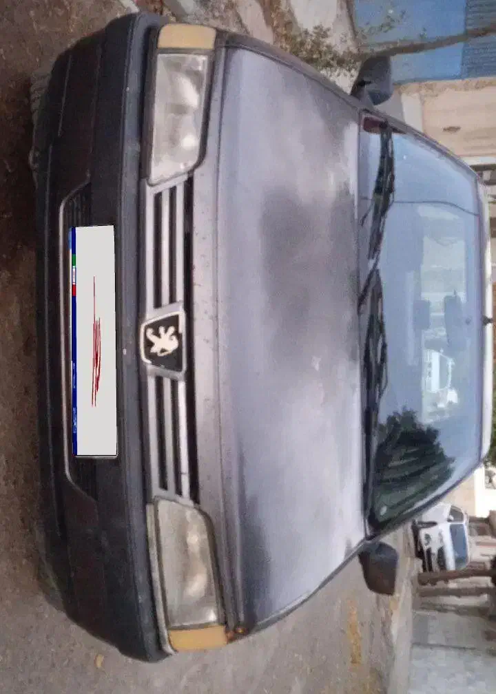 پژو 405 GLX - 1384