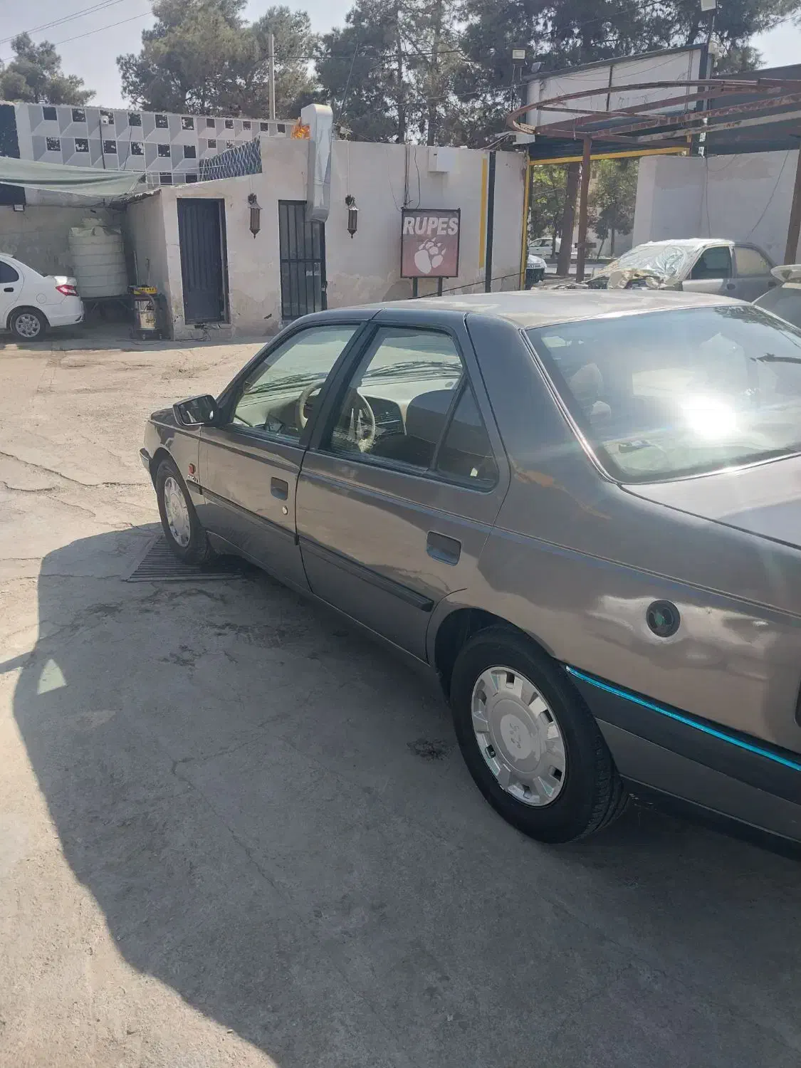 پژو 405 GLX - دوگانه سوز - 1389