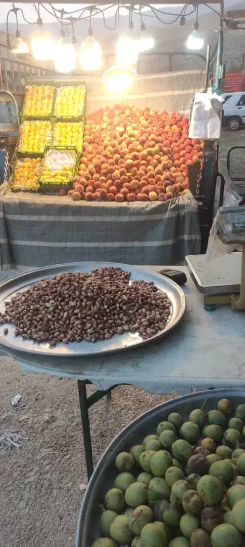 زامیاد وانت نیسانZ24 بنزینی - 1366
