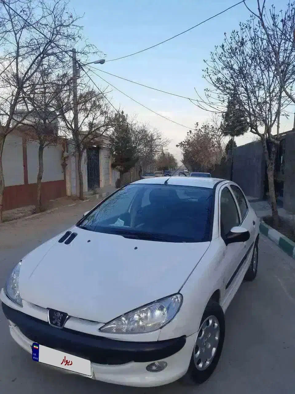 پژو 206 تیپ 3 - 1391