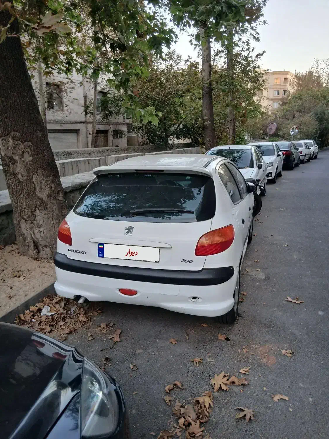 پژو 206 تیپ 2 - 1389