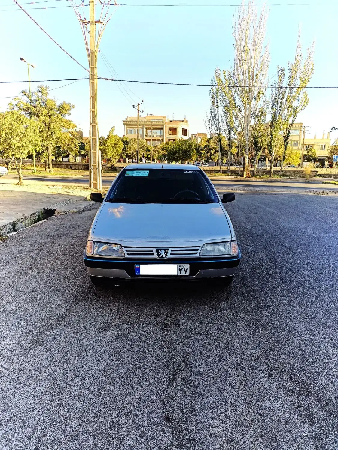 پژو 405 GLX - دوگانه سوز - 1388