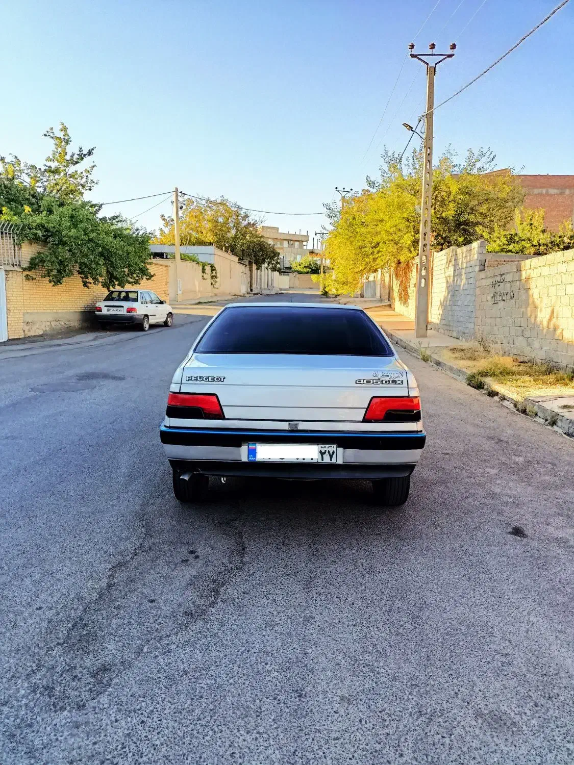 پژو 405 GLX - دوگانه سوز - 1388