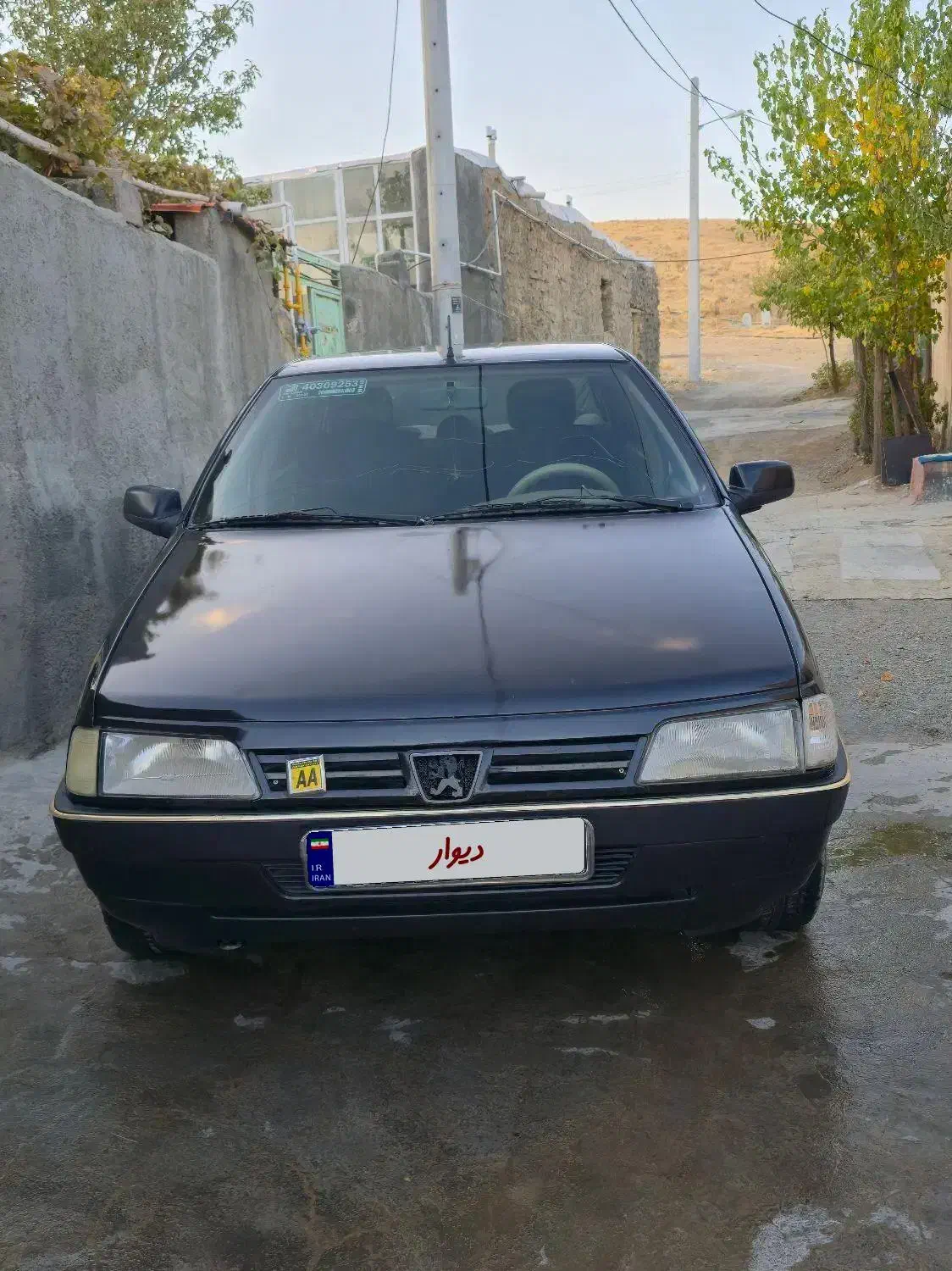 پژو 405 GLX - دوگانه سوز - 1387