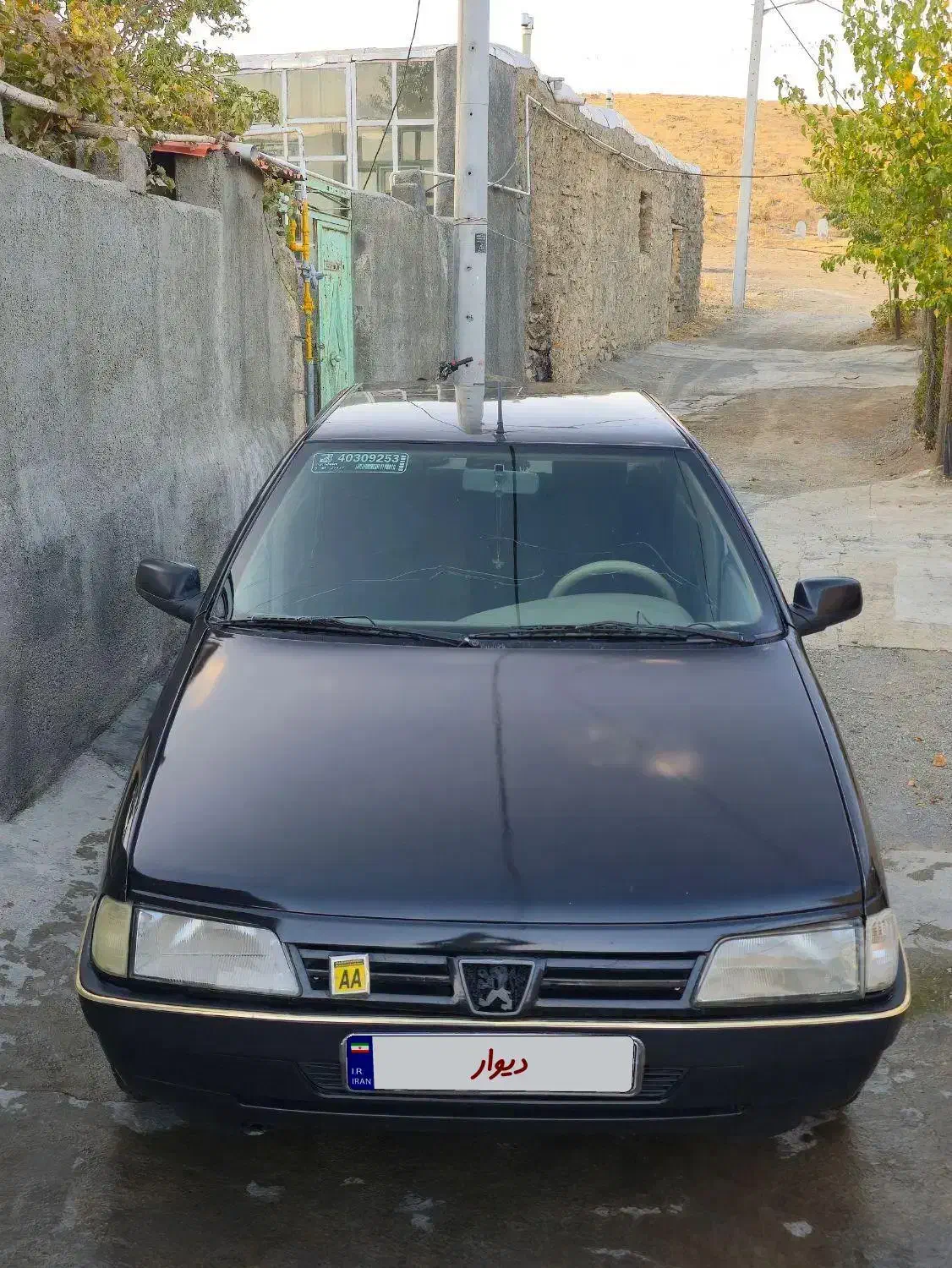 پژو 405 GLX - دوگانه سوز - 1387