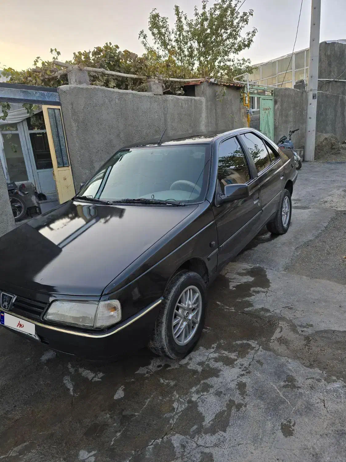 پژو 405 GLX - دوگانه سوز - 1387