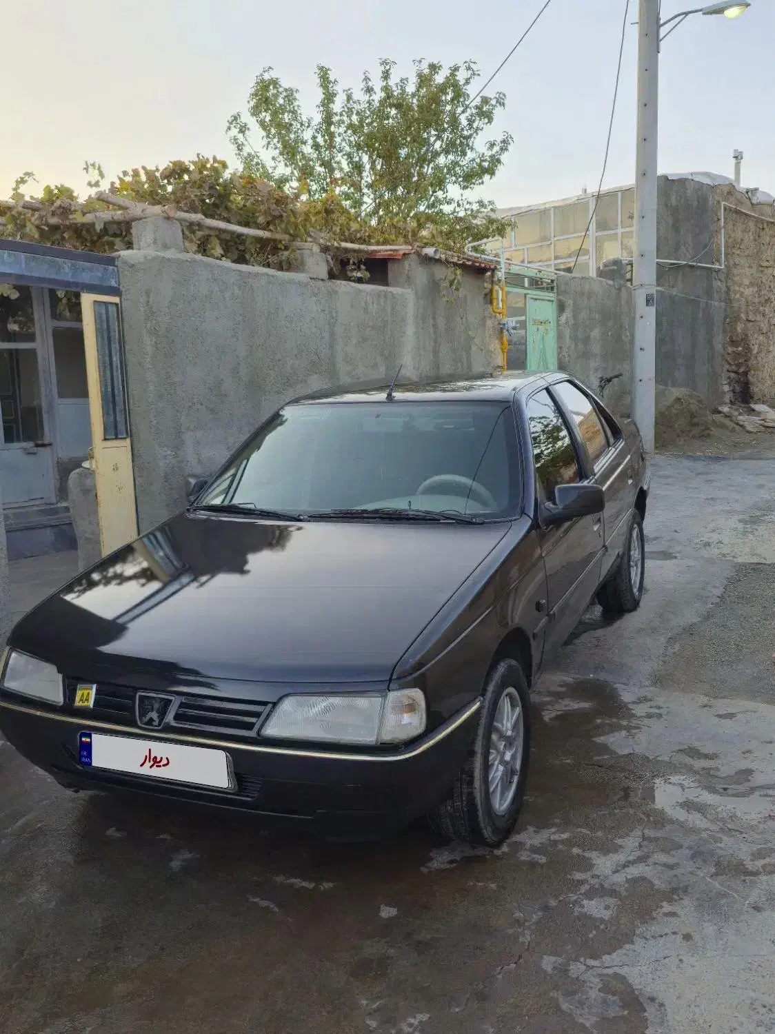 پژو 405 GLX - دوگانه سوز - 1387