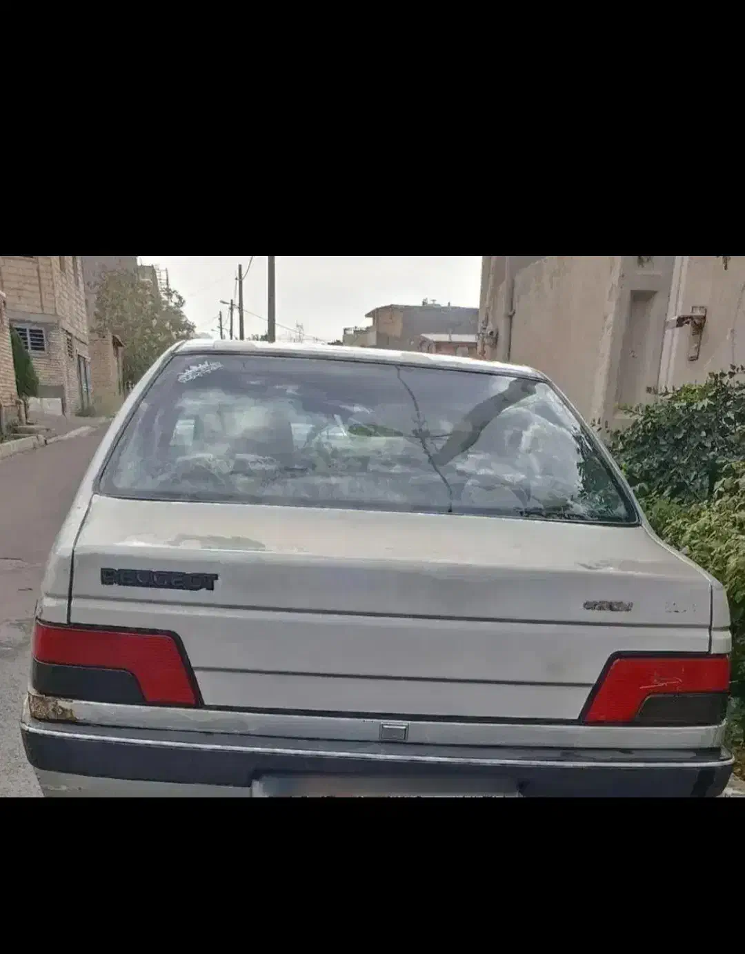 پژو 405 GLX - دوگانه سوز - 1389