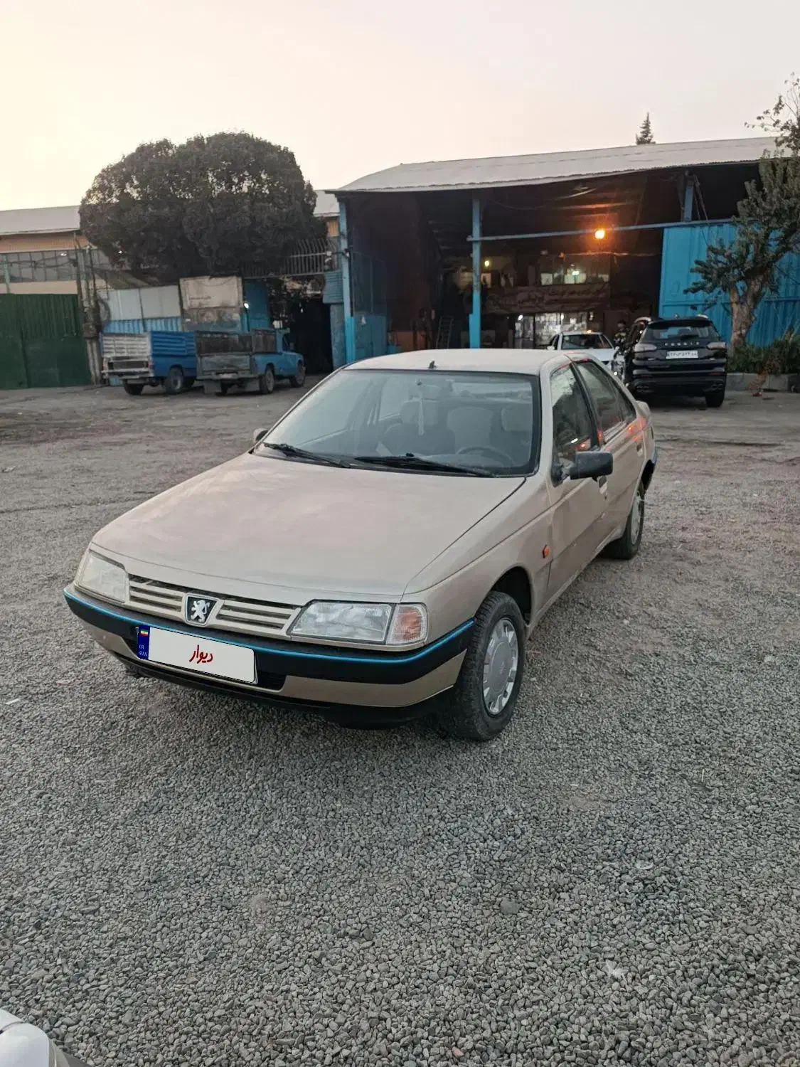 پژو 405 GLX - دوگانه سوز - 1384