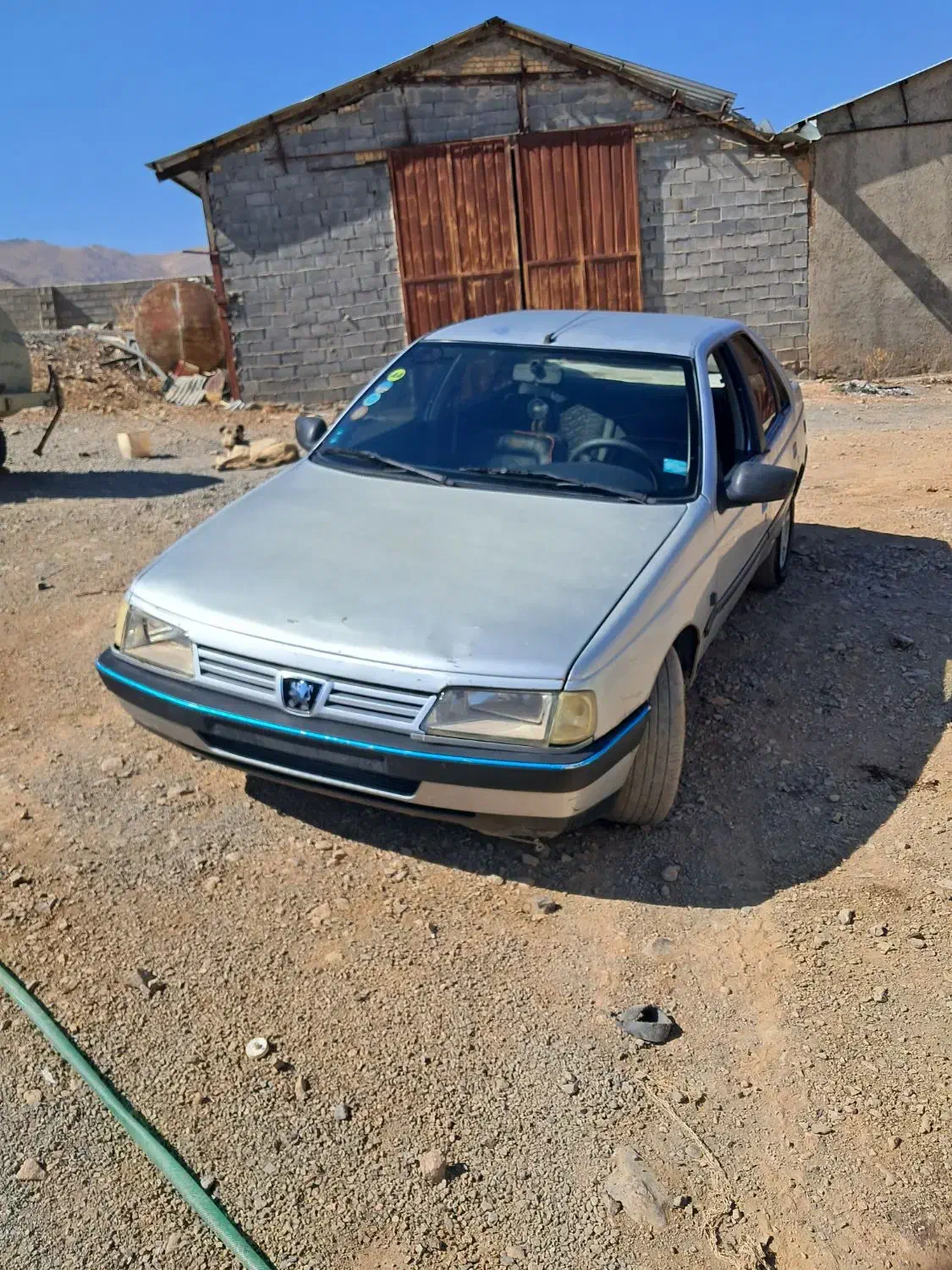 پژو 405 GLX - دوگانه سوز - 1386