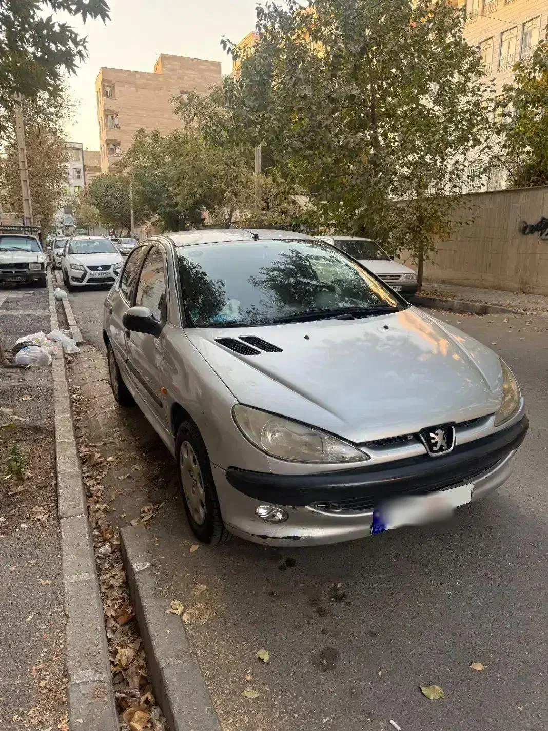 پژو 206 تیپ 2 - 1383