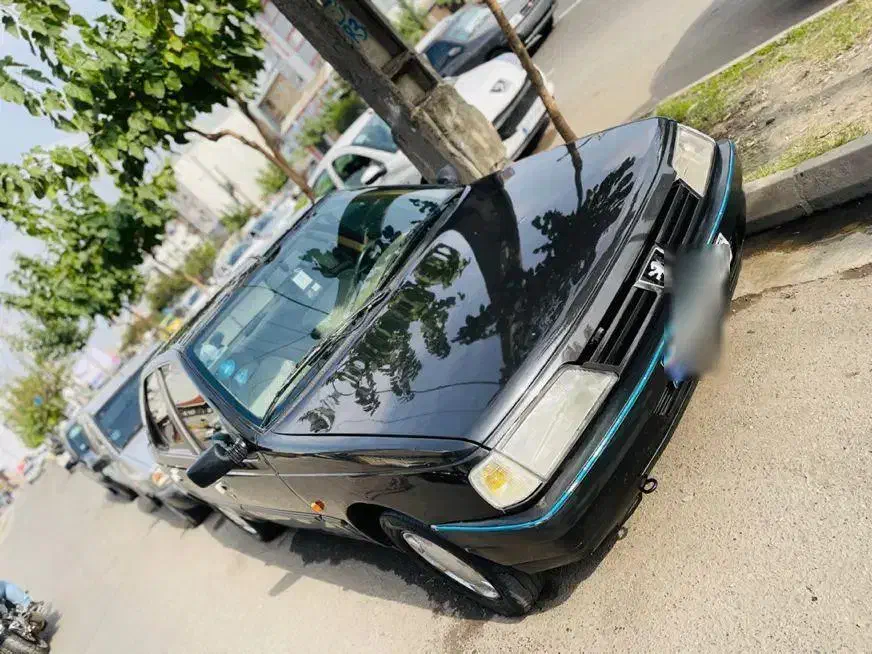 پژو 405 GLX - دوگانه سوز - 1389