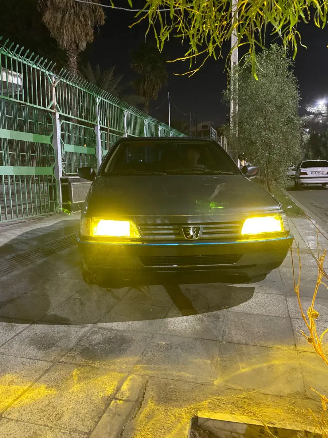 پژو 405 GLX - دوگانه سوز - 1393