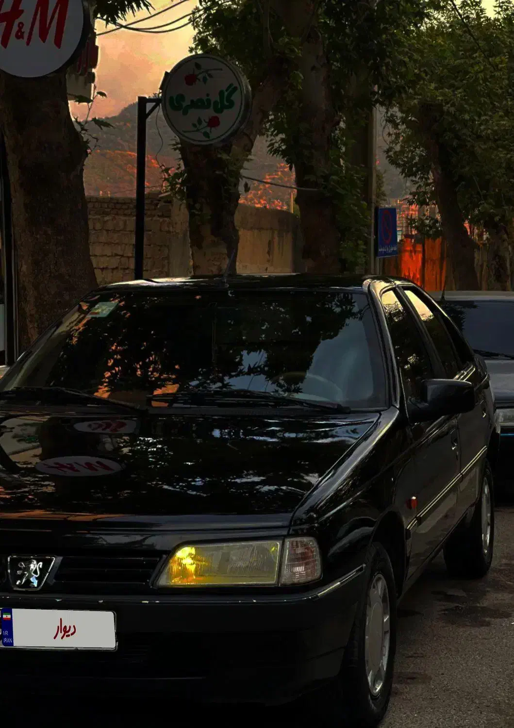 پژو 405 GLX - 1384