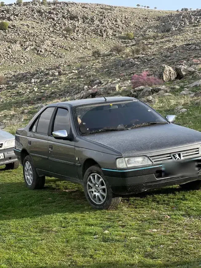 پژو 405 GLX - دوگانه سوز - 1391