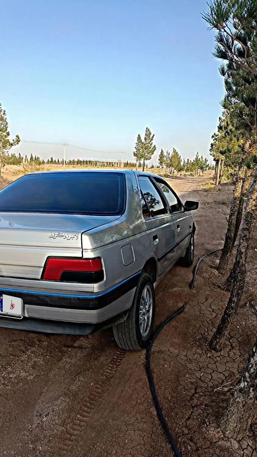 پژو 405 GLX - دوگانه سوز - 1395