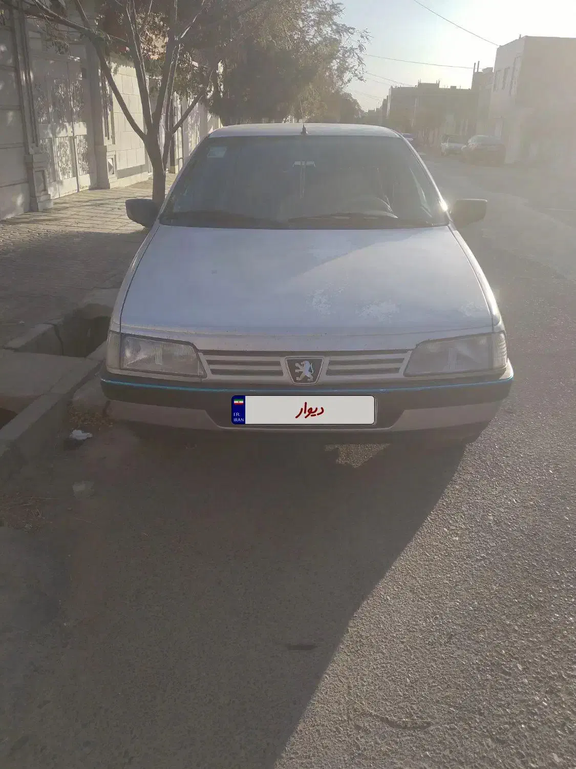 پژو 405 GLX - دوگانه سوز - 1392
