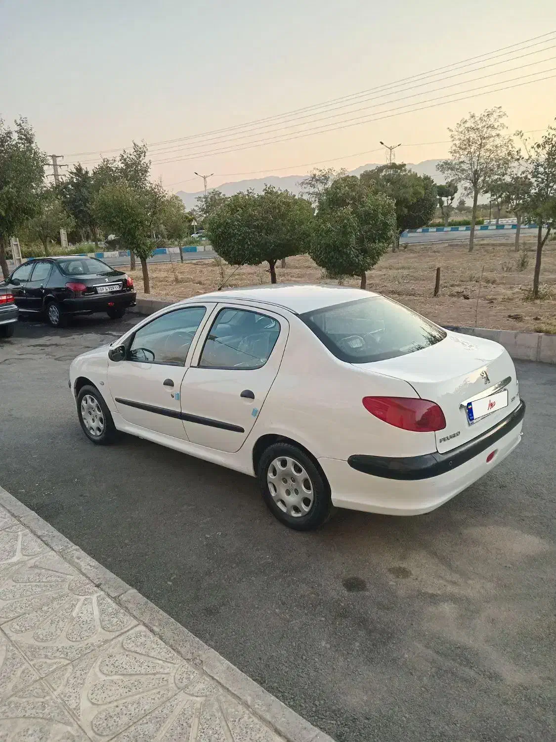 خودرو پژو، ۲۰۶ صندوق دار آگهی ann_20802998