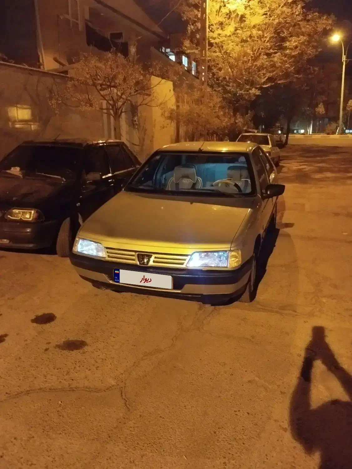پژو 405 GLX - دوگانه سوز - 1393