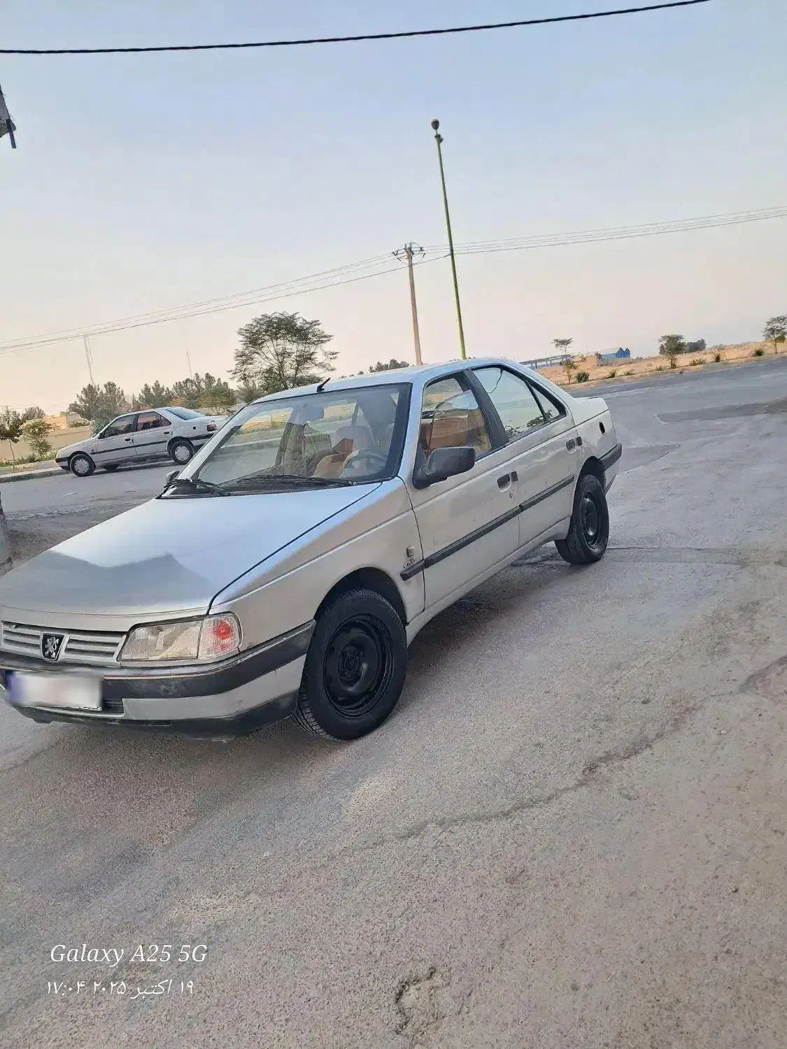 پژو 405 GLX - دوگانه سوز - 1391