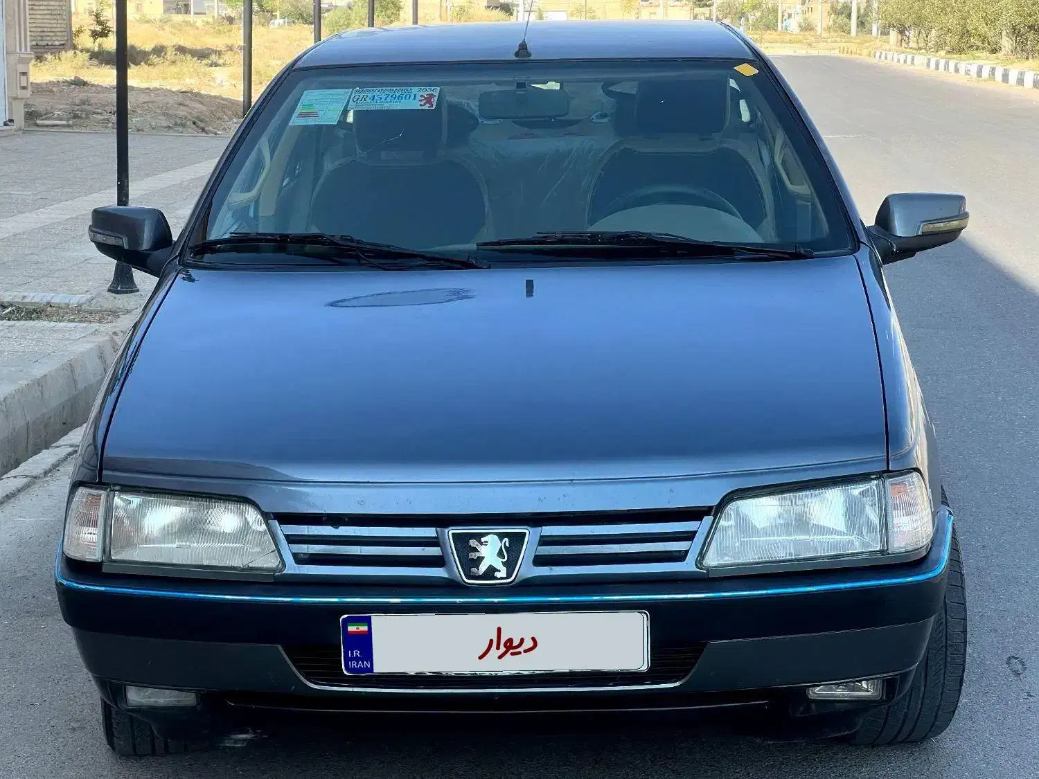 پژو 405 GLX - دوگانه سوز - 1394