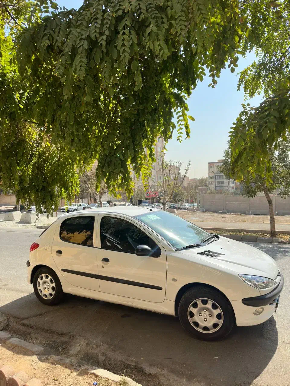 پژو 206 تیپ 2 - 1399
