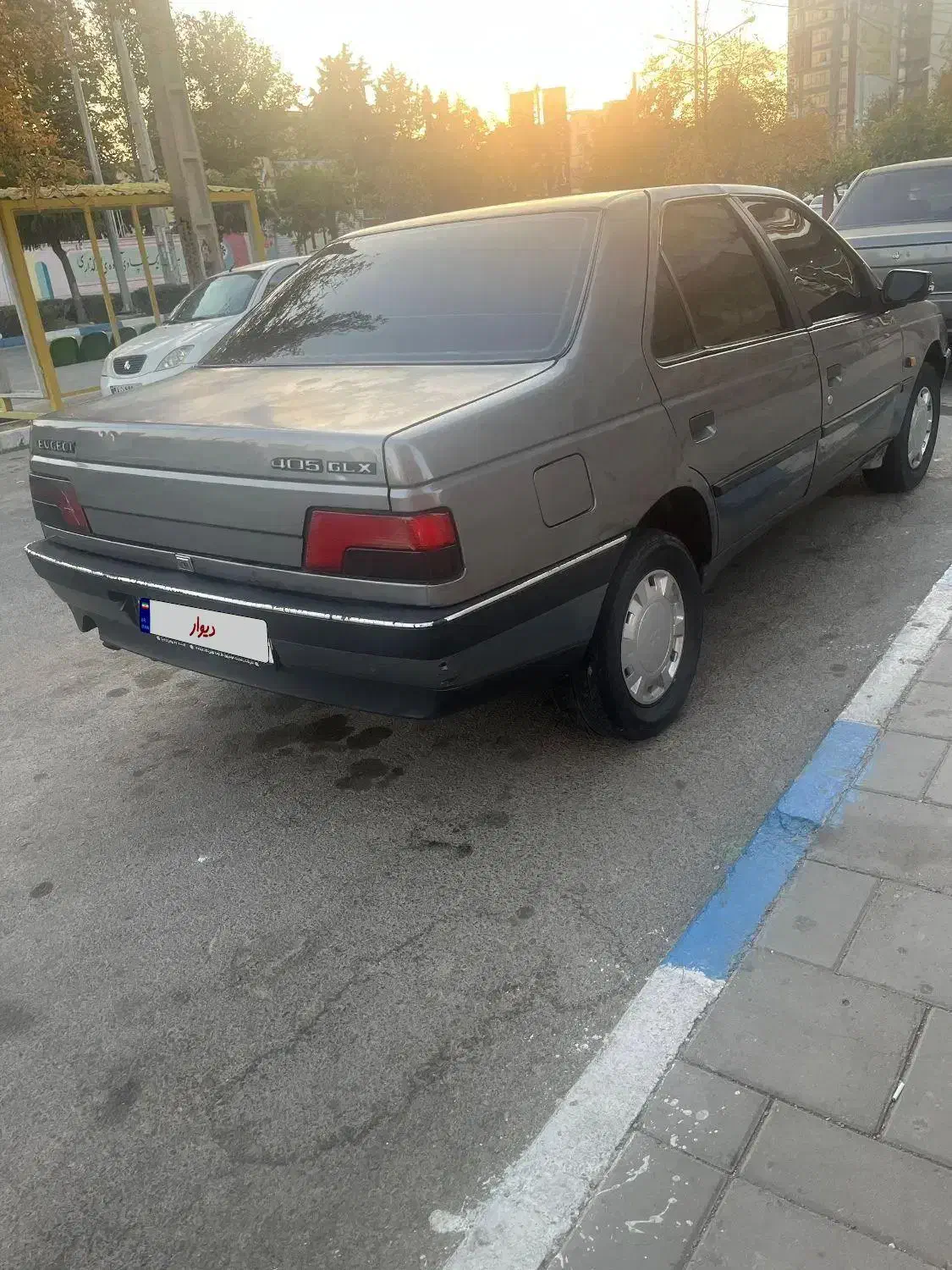 پژو 405 GLX - دوگانه سوز - 1389