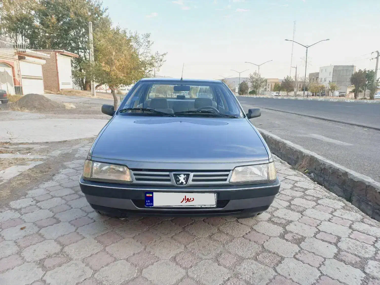 پژو 405 GLX - دوگانه سوز - 1390