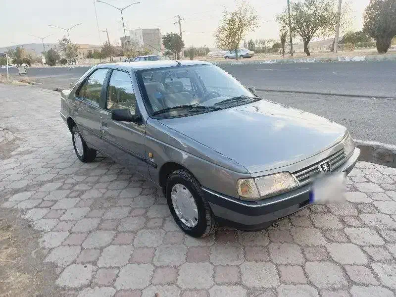پژو 405 GLX - دوگانه سوز - 1390