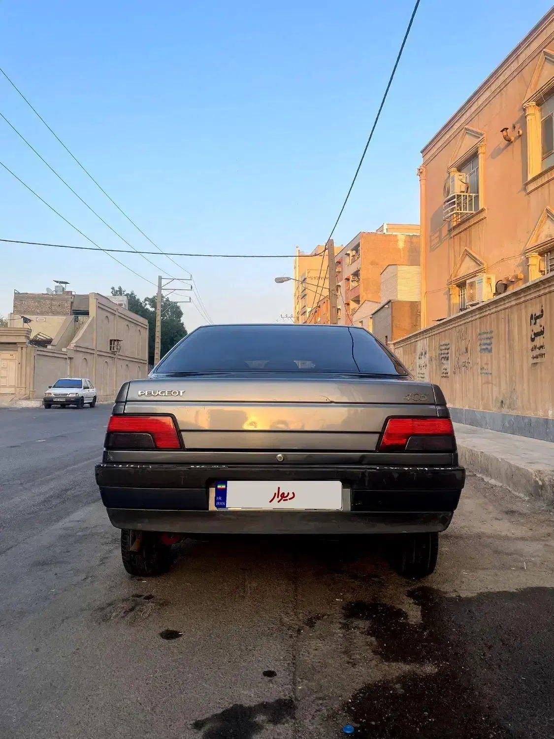 پژو 405 GLX - دوگانه سوز - 1394